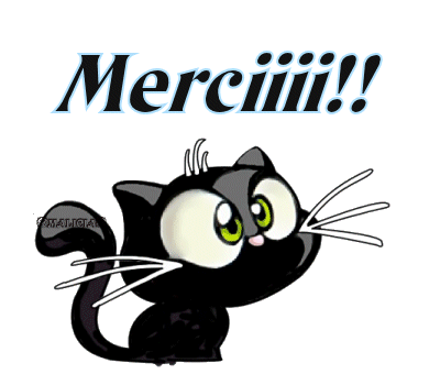 RÃ©sultat de recherche d'images pour "chat merci animation"